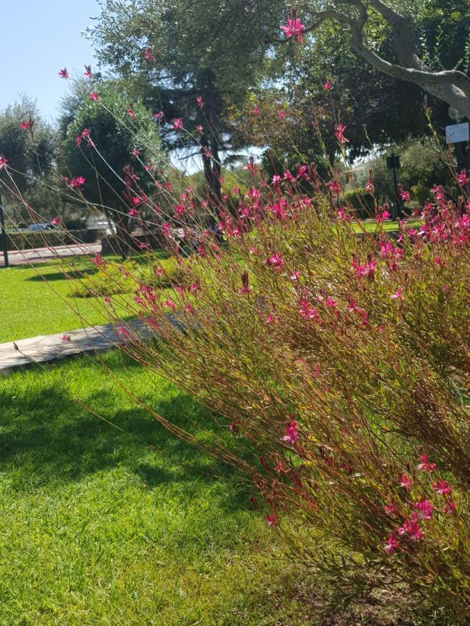 Appartamento da Francesco Villaggio degli Ulivi San Teodoro San Teodoro  Esterno foto